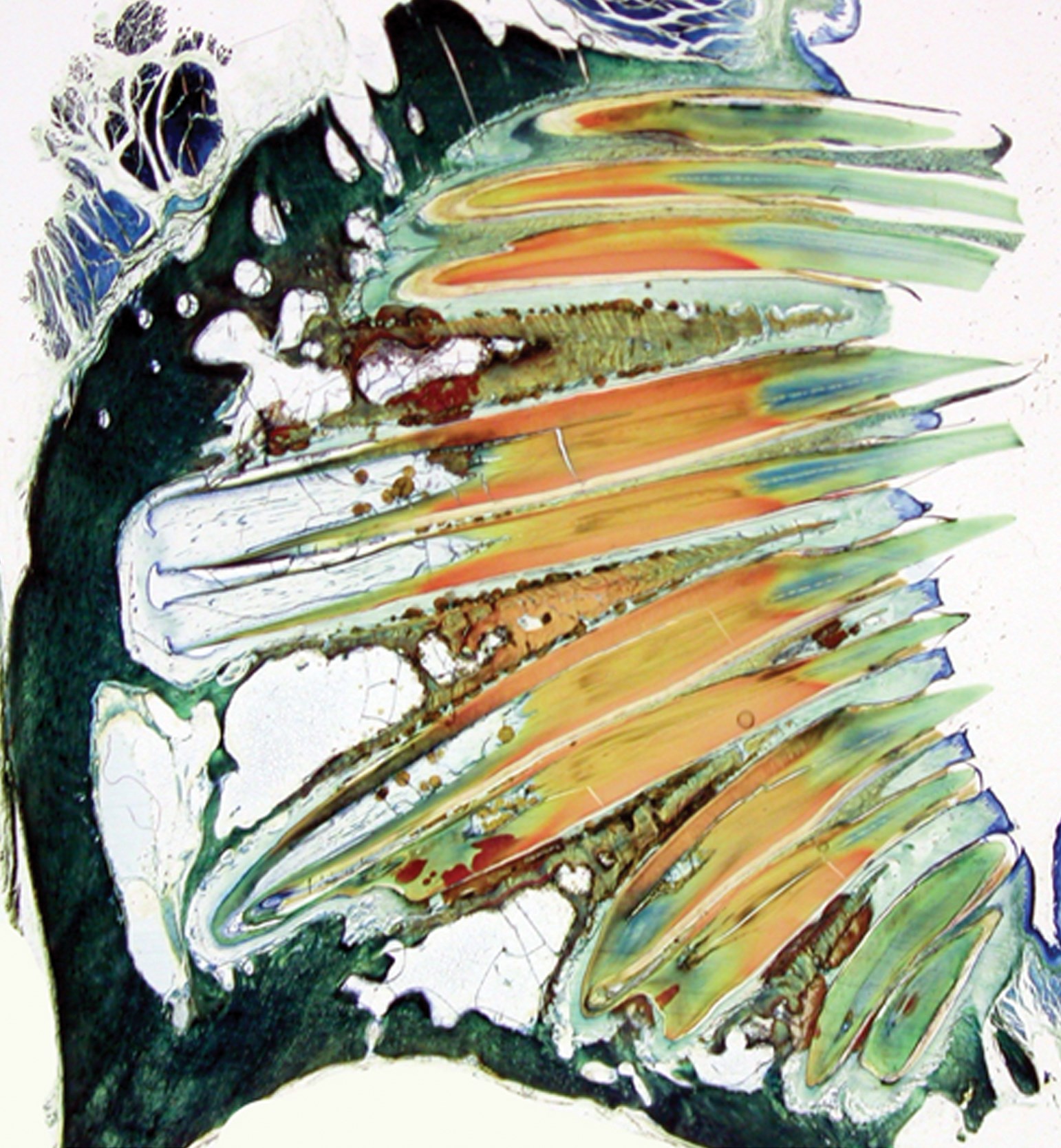 issue cover