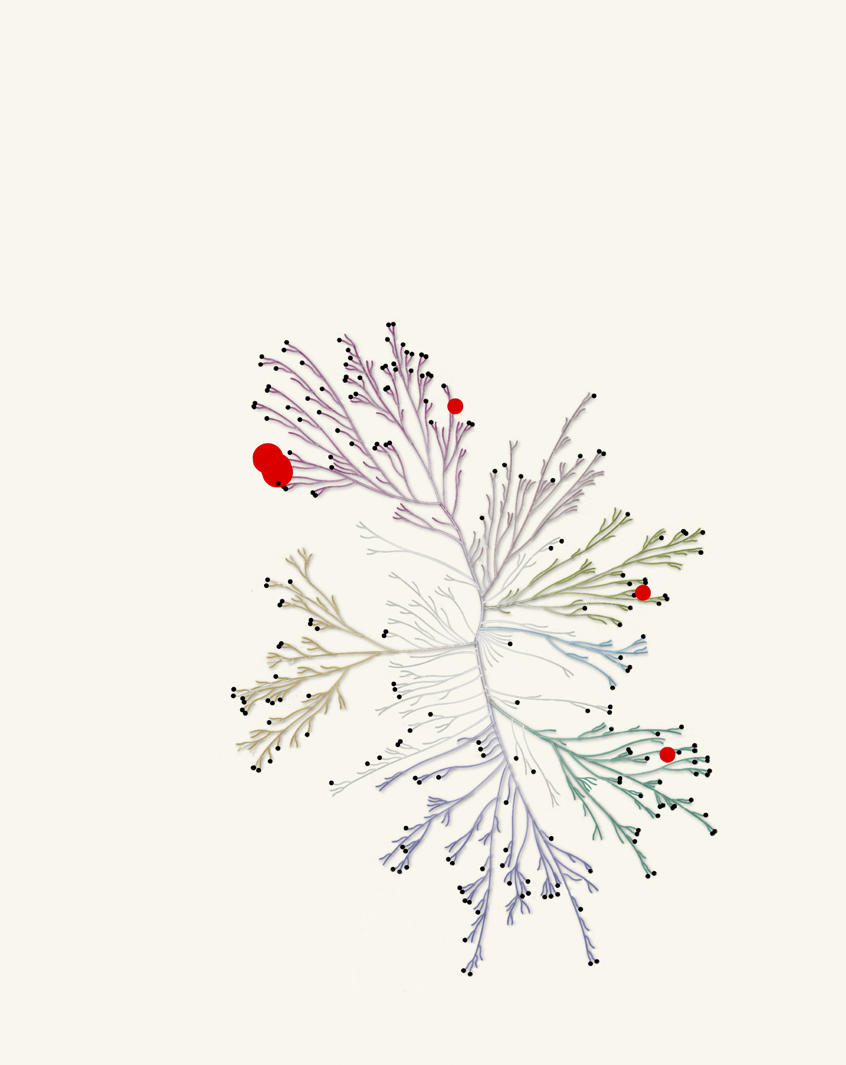 issue cover