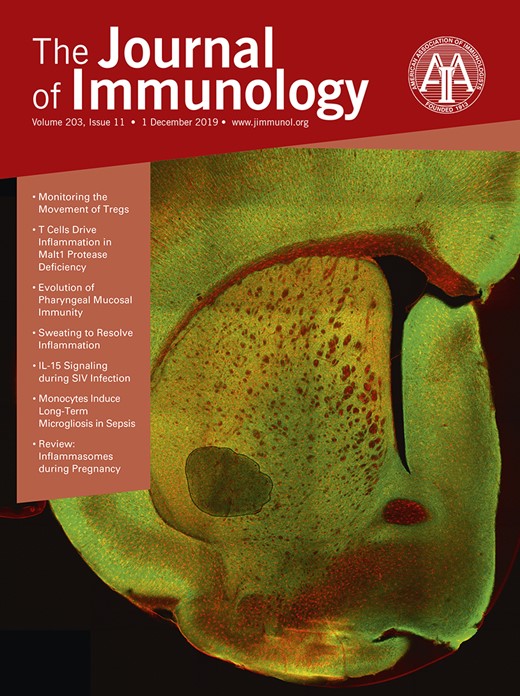 The Journal of Immunology Cover Image for Volume 203, Issue 11