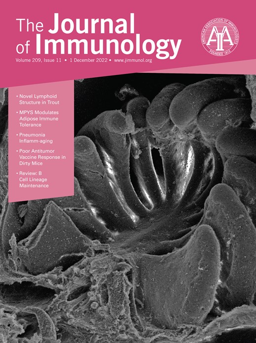 The Journal of Immunology Cover Image for Volume 209, Issue 11