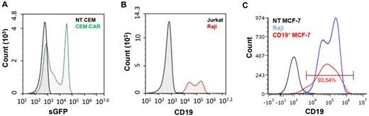 Representative flow cytometry histogram of CAR and CD19 expression. (A) The CD19-specific CAR expression confirmed by the fluorescent signal of sGFP in CEM cells (black: NT-CEM, green: CEM-CAR). (B) CD19 labelled Raji (red) and Jurkat (control, black) cells, antibody: mouse anti-human CD19-Alexa647. (C) CD19 MCF-7 (red), NT MCF-7 (black, non-transduced control) and Raji (blue) cells labeled with mouse anti-human CD19-Alexa647 antibody.
