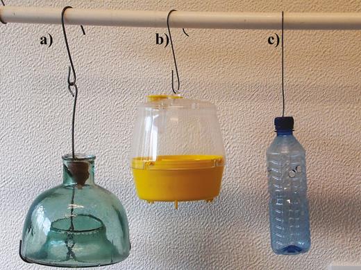 Trap models used in the sampling: (a) McPhail glass trap; (b) Multilure trap; and (c) blue polyethylene bottle.