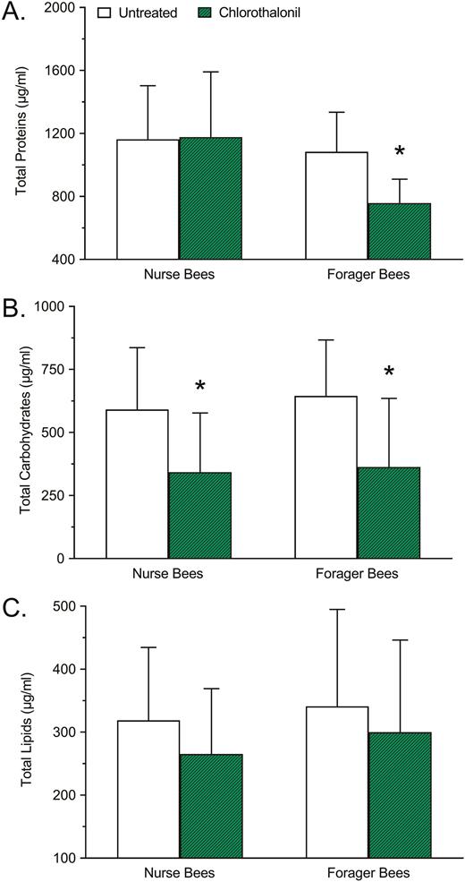 Effects of chlorothalonil exposure on (A) total protein, (B) total carbohydrate, and (C) total lipid concentration of nurse and forager honey bees. Bars represent mean concentration (µg/ml) ± standard deviation (n = 45). Asterisks indicate a significant difference between the chlorothalonil treatment and the respective untreated control based on a two-way analysis of variance and Dunnett’s multiple comparison test where P < 0.05 was considered significant.