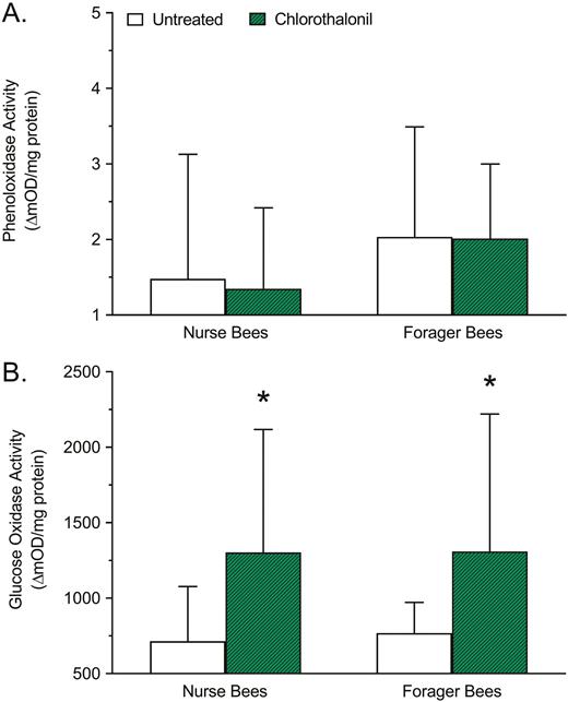 Effects of chlorothalonil exposure on (A) total phenoloxidase and (B) total glucose oxidase activity of nurse and forager honey bees. Bars represent mean activity level (ΔmOD/mg protein) ± standard deviation (n = 45). Asterisks indicate a significant difference between the chlorothalonil treatment and the respective untreated control based on a two-way analysis of variance and Dunnett’s multiple comparison test where P < 0.05 was considered significant.