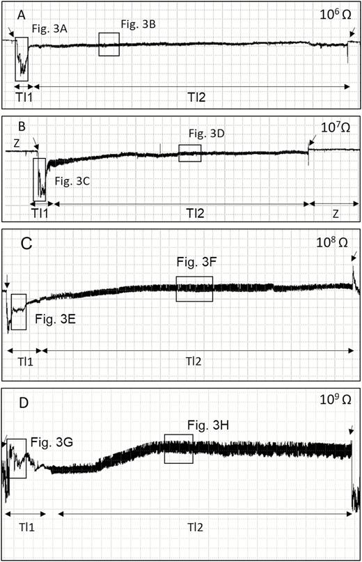 Overview of EPG waveforms (Tl1 and Tl2) from Tibraca limbativentris on rice stalk at 106 Ohms (A), 107 Ohms (B), 108 Ohms (C), 109 Ohms (D), and 50 mV AC applied signal. Coarse structure of waveforms observed with Windaq compression 400 (80 s/vertical div.), and gain 16× (A and B); 8× (C and D). Arrowheads indicate beginning or end of a probe.