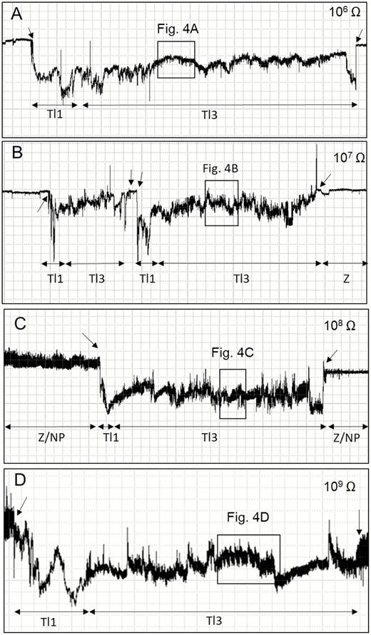 Overview of EPG waveforms (Tl1 and Tl3) from Tibraca limbativentris on rice stalk at 106 Ohms (A), 107 Ohms (B), 108 Ohms (C), 109 Ohms (D), and 50 mV AC applied signal. Coarse structure of waveforms observed with Windaq compression: 200 (40 s/vertical div.), gain 16× (A); 600 (120 s/vertical div.), gain 16× (B); and 400 (80 s/vertical div.), gain 16× (C and D). Arrowheads indicate beginning or end of a probe.