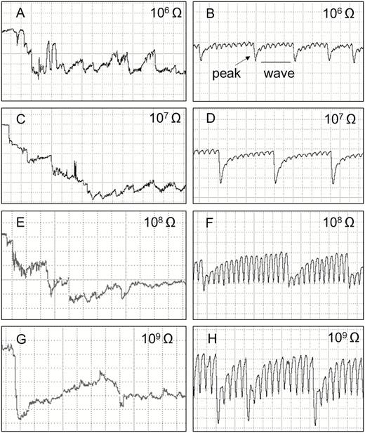 Waveforms recorded using EPG from Tibraca limbativentris on rice stalk at 106 Ohms (A and B), 107 Ohms (C and D), 108 Ohms (E and F), 109 Ohms (G and H), and 50 mV AC applied signal. Expanded views of waveform Tl1 (A, C, E, G) and Tl2 (B, D, F, H). Definition of peaks and wave portions (B). Coarse structure of waveforms observed with Windaq compression: 10 (2 s/vertical div.), gain 16× (A, C, E, and G); 2 (0.4 s/vertical div.), gain 32× (B, D, F, and H).