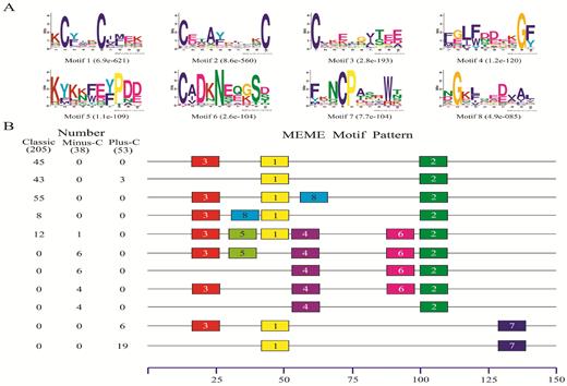 Motif analysis of dipteran OBPs. (A) The eight motifs discovered in the 296 dipteran OBPs by MEME (version 4.12.0; http://meme.nbcr.net/meme/). (B) The numbers in the two columns on the left of the figure are the numbers of OBPs corresponding to the MEME motif patterns on the right. The numbers in boxes correspond to the numbered motifs in (A), where a small number indicates high conservation. The numbers on the bottom show the approximate locations of each motif in the amino acid sequence of the protein, starting from the N-terminal. Only the 10 most common motifs are included, and each motif was present in more than two OBPs. The names of the 296 OBPs, their amino acid sequences, and the associated taxa are listed in Supp Table 2 (online only).