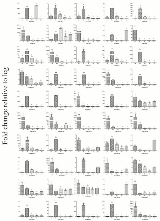 Mean (±SE) transcript levels of OBP and CSP genes in different tissues of E. balteatus as evaluated by qPCR. An: antennae; He: head; Th: thorax; Ab: abdomen; Le: leg. Here, the leg was taken as the calibrator or 1× sample. Means are from three biological replicates; the different letters above the bars in a graph indicate a significant difference in expression among tissues (P < 0.05).