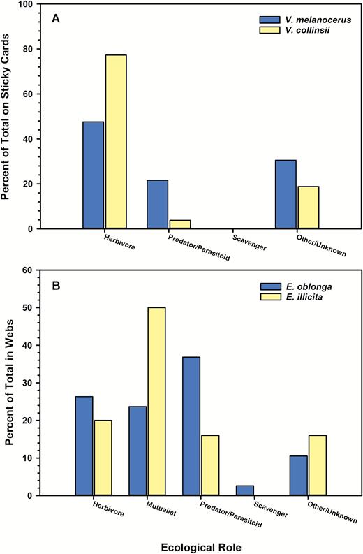 Percent of total insects captured by ecological role. A) Insects captured on sticky card traps in ant-acacias Vachellia melanocerus and Vachellia collinsii. B) Insect prey remains collected from webs of spiders Eustala oblonga on V. melanocerus and Eustala illicita on V. collinsii.