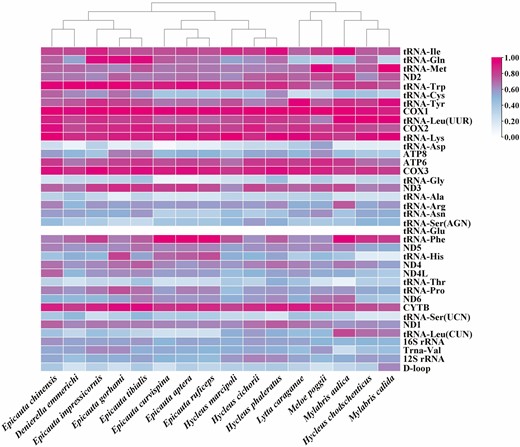 Guanine–cytosine contents of each gene fragment in different populations.