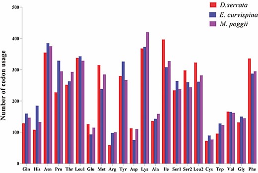 Number of codon usages in the protein-coding genes of the mitochondrial genomes of D. emmerichi, E. curvispina, and M. poggii. Each amino acid is denoted as a three-letter symbol according to the three-letter amino acid codes established by the International Union of Pure and Applied Chemistry and the International Union of Biochemistry and Molecular Biology joint commission.