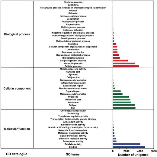 Summary of GO analysis of the unigene sequences of M. alternatus non-overwintering and overwintering larvae. The x-axis on the right indicates the number of unigenes in a category.