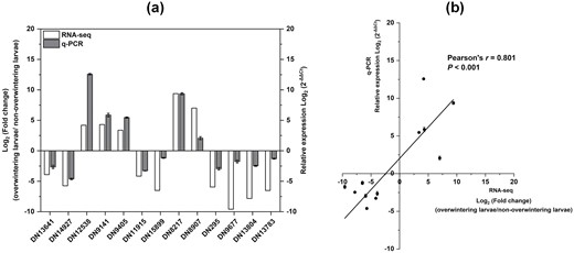 Validation of DEGs by qRT-PCR. (a) Relative expression levels of thirteen DEGs via RNA-seq and qRT-PCR. DN1364, facilitated trehalose transporter; DN14927, facilitated trehalose transporter; DN12538, heat shock protein 20; DN9141, heat shock protein 23; DN9405, heat shock protein 20; DN11915, facilitated trehalose transporter; DN15899, endocuticle structural glycoprotein; DN8217, serpin; DN8907, late embryogenesis abundant protein; DN295, serine protease; DN9677, catalase; DN13804, cytochrome c peroxidase; DN13783, glucose dehydrogenase. Ribosomal protein10 was used as the internal control. (b) Correlation between RNA-Seq and qRT-PCR results for the tested DEGs using Pearson correlation coefficient (P < 0.05).