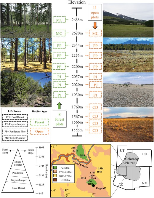Habitat Type Affects Elevational Patterns in Ground-dwelling Arthropod ...