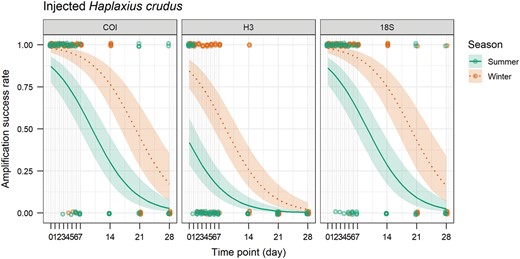 Amplification success rate of the COI, H3, and 18S genes over time (days) on sticky trap for injected Haplaxius crudus in summer and winter. The line shows the probability of amplification success rate estimated by the generalized linear model and the ribbon shows the 95% confidence interval.