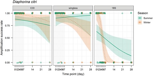 Amplification success rate of the COI, wingless, and 18S genes over time (days) on sticky trap for Diaphorina citri in summer and winter. The line shows the probability of amplification success rate estimated by the generalized linear model and the ribbon shows the 95% confidence interval.