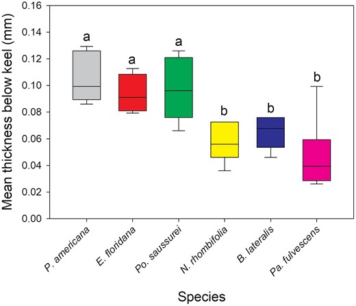 Graph depicting average cuticle thickness of the below keel area, with two groups apparent—P. americana, E. floridana, and Po. saussurei have significantly thicker cuticles than N. rhombifolia, B. lateralis, and Pa. fulvescens.