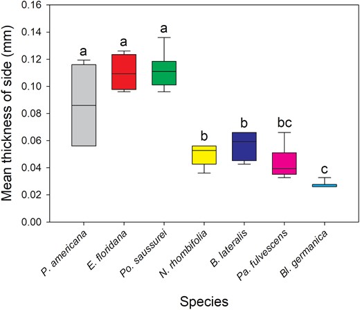 Graph depicting average cuticle thickness of the side area, with two groups apparent—P. americana, E. floridana, and Po. saussurei have significantly thicker cuticles than N. rhombifolia, B. lateralis, Pa. fulvescens, and Bl. germanica.
