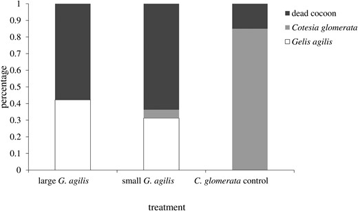 Bar graph depicting the fate of Cotesia glomerata cocoons when visually stung by large and small Gelis agilis mothers, compared with control cocoons (not presented to G. agilis females).