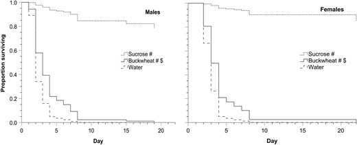Survivorship curves representing longevity of male and female adult house flies over 22 days on sucrose, buckwheat, or water. Longevity for each treatment is represented with a dashed line, and line height indicates proportion of flies alive each day.
