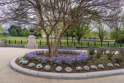 Newly designed and installed ornamental landscape beds along the West Front of the U.S. Capitol Building provide habitat for generalist insect pest predators, while preserving the historic design intent created by Frederick Law Olmsted. Ornamental plants include woodland, Phlox divaricata, and creeping phlox, P. stolonifera; beardtongue, Penstemon digitalis; liverleaf, Hepatica spp.; and mountain mint, Pycnanthemum spp.