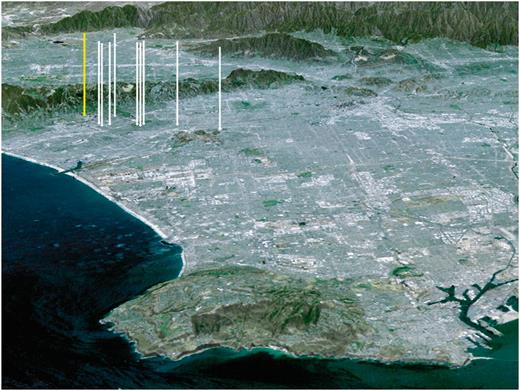 Vertical arrows show locations where olive fruit fly larvae and pupae were collected in the heavily populated Los Angeles basin from 1998 to 1999. The image shows a north by northeast perspective of the city from above the Pacific Ocean. The San Gabriel Mountains are in the distance and the hilly Palos Verdes Peninsula is in the foreground (Los Angeles map, National Aeronautics Space Administration 2000). The far left, yellow arrow points to Westwood where the first adult was found. The locations of other arrows where larvae and pupae were collected appear to be aligned along a prevailing downwind pattern from Westwood. Pupae were also collected in Anaheim and Santa Barbara in September to October 1999 (CDFA 1998, 1999). The land image is about 29 km wide by 70 km in depth.