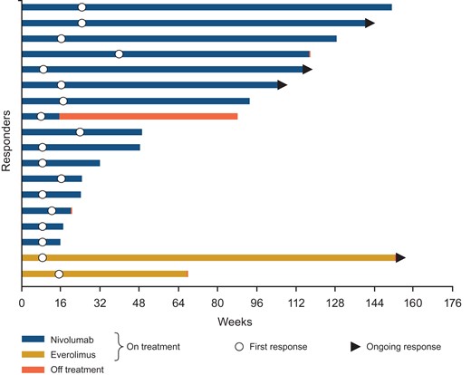 Time to and duration of response in Japanese patients. Bar indicates progression-free survival.