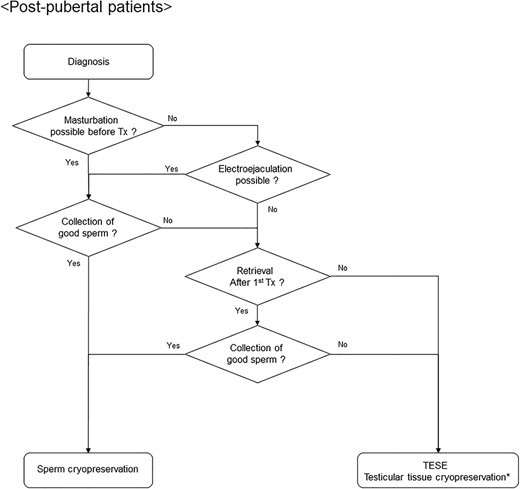 Algorithm for fertility preservation strategies in postpubertal male patients with hematological malignancies. Tx, therapy; TESE, testicular sperm extraction. Asterisk indicates that testicular tissue cryopreservation is considered to be in an experimental stage.