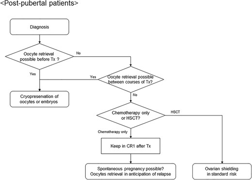 Algorithm for fertility preservation strategies in postpubertal female patients with acute leukemia or malignant lymphoma. CR1, first complete remission; HSCT, hematopoietic stem cell transplantation.