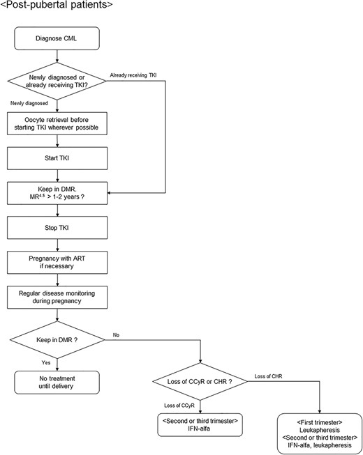 Algorithm for fertility preservation strategies in postpubertal female patients with chronic myeloid leukemia. CML, chronic myeloid leukemia; TKI, tyrosine kinase inhibitor; DMR, deep molecular response; MR, molecular response; ART, assisted reproductive technology; CCyR, complete cytogenetic response; CHR, complete hematological response; IFN, interferon. MR4.5 is defined as ≥4.5-log reduction in BCR-ABL1 transcript level.