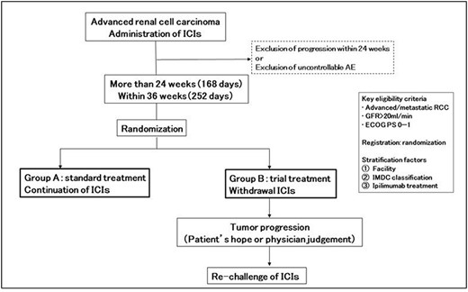 Trial design of JCOG1905.