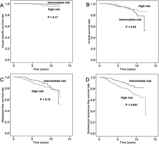 Rates of (A) cause-specific survival, (B) overall survival, (C) metastasis-free survival and (D) biochemical recurrence-free survival in patients with intermediate-risk and high-risk localized prostate cancer.