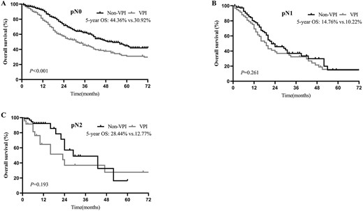OS of patients with and without VPI, in pathologic N0 (pN0) (A), pathologic N1 (pN1) (B) and pathologic N2 (pN2) (C) disease before PSM.