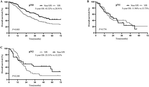 OS of patients with and without VPI in pN0 (A), pN1 (B) and pN2 (C) disease after PSM.