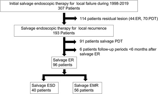 Study flowchart. During the study period, 307 patients with local failure after chemoradiotherapy (CRT) or radiotherapy (RT) for esophageal squamous cell carcinoma (ESCC), who subsequently underwent initial salvage endoscopic therapy at our institute, were enrolled. Of those treated, 114 patients who had residual lesion were excluded. Of the 193 patients who underwent salvage endoscopic therapy for local recurrence, 91 who underwent salvage photodynamic therapy (PDT), six with follow-up periods of <6 months after salvage endoscopic resection (ER) were excluded. Of the remaining 96 patients (96 lesions), the salvage endoscopic submucosal dissection (ESD) and salvage endoscopic mucosal resection (EMR) groups included 40 (40 lesions) and 56 (56 lesions), respectively.