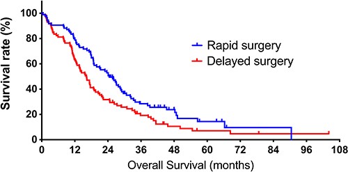 Kaplan–Meier curves of overall survival (OS) in the rapid and delayed surgery groups. The rapid surgery group includes patients who received the first surgery within 20 days of the first hospital visit. The delayed surgery group includes patients who received the first surgery 21 days or later. The median OS of patients in rapid and delayed surgery groups is 24.5 and 16.2 months (P = 0.016).