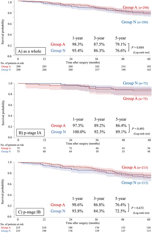Postoperative overall survival in groups A and N after propensity score matching. (A) As a whole, (B) in p-stage IA, (C) in p-stage IB subset. group A, received postoperative adjuvant chemotherapy; and group N, no adjuvant chemotherapy.