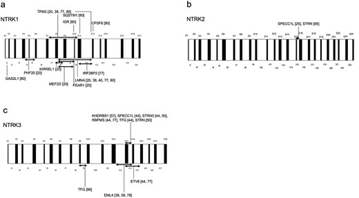 The breakpoint locations in the DNA of NTRK fusion gene–positive sarcomas are as follows: (a) NTRK1, (b) NTRK2, and (c) NTRK3, as inferred from the findings in the cited literature. Abbreviations: I, intron; E, exon.