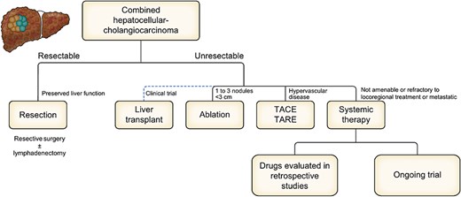 Proposal of treatment strategies for combined hepatocellular-cholangiocarcinoma on an EASL position paper.