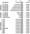 Sequences of generated CCL20 N-terminus variants. Conserved cysteine residues shaded grey