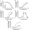 Biochemical characterization of CCL20 extension and truncation variants. CCL20 variant A5 introduced 5 alanine residues to the native N-terminus and variant Δ3 removed 3 residues from the native N-terminus. (A) CCL20 WT and variant protein binding was observed by displacement of 125I-CCL20 WT from CCR6+ transfected COS-7 cells. The IC50 values calculated for displacement by WT, A5, and Δ3 were calculated as 7.58 nM (n = 7), 69.4 nM (n = 3), and 93.2 nM (n = 3), respectively. (B) CCL20 WT, A5, and Δ3 stimulated accumulation of 3H-IP3 in CCR6+ COS-7 cells, with EC50 values calculated as 0.296 nM (n = 9), 1.98 nM (n = 4), and 6.75 nM (n = 4), respectively. (C) CCR6+ Jurkat cells treated with CCL20 WT or variants display a dose-dependent increase in intracellular calcium release. EC50 values were calculated as 52.7 nM (n = 6), 365 nM (n = 3), and 358 nM (n = 5) for WT, A5, and Δ3, respectively. (D) CCR6+ Jurkat cells migrate in a transwell assay in response to CCL20 WT, A5, and Δ3 treatment, with similar chemotactic profiles observed (n = 2). (E) CCL20 WT, A5, and Δ3 promote β-arrestin-2 recruitment to CCR6 in U2OS-A2 cells with calculated EC50 values of 1.91 nM (n = 8), 12.4 nM (n = 3), and 11.8 (n = 3), respectively. The maximum recruitment response of A5 and Δ3 stimulation was ∼30% of maximal WT response, indicating considerable ligand efficacy loss