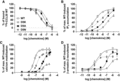 Biochemical characterization of mutations at Asp5 of CCL20. (A) Binding of CCL20 Asp5 point variants was assessed by displacement of 125I-CCL20 WT from CCR6+ transfected COS-7 cells. D5A, D5K, and D5N variants displaced WT CCL20 with calculated IC50 values of 29.3, 62.6, and 8.67 nM (n = 4), respectively. (B) D5A, D5K, and D5N treatment promoted 3H-IP3 accumulation in CCR6+ COS-7 cells with calculated EC50 values of 32.7, 66.4, and 3.83 nM (n = 4), respectively. (C) Asp5 variants stimulated intracellular calcium release of CCR6+ transfected Jurkat cells. Calculated EC50 values for D5A, D5K, and D5N were 988 nM (n = 4), 859 nM (n = 6), and 139 nM (n = 5), respectively. D5K exhibited a significant loss in efficacy, with maximal calcium mobilization signal at ∼40% of maximal WT signal. (D) Treatment with D5A, D5K, and D5N promoted recruitment of β-arrestin-2 to CCR6 in U2OS-A2 cells with calculated EC50 values of 105 nM, 390 nM, and 1.59 nM (n = 3), respectively. D5K and D5N showed significant loss of efficacy and recruited β-arrestin-2 to levels equal to ∼60 and 70% of maximal WT response, respectively
