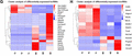 The levels of plasma cholesterol and triglycerides, histology of atherosclerotic lesions, and the RNAs expression profiling of proximal aortas from Model mice and TAN-treated mice. (A) The plasma triglycerides (TG), total cholesterol (TC), HDL-C, LDL-C, and VLDL-C were measured in mice. n = 5. The lesion area in atherosclerotic plaques and the percentage of AS plaque area in the aortic intima were analyzed using Image Pro and shown in the histograms separately; (B) The lipid accumulation in atherosclerotic plaque (yellow-labeled) was assessed by H&E or Oil red O staining in atherosclerotic plaque (×100) and aortic intima. (C) Volcano plot indicate up- and down-regulated genes in proximal aortas of TAN group compared with Model group; (D) Heat map showing hierarchical clustering of changed genes. In clustering analysis, up- and down-regulated genes are colored in red and blue, respectively. (E) Volcano plot indicate up- and down-regulated miRNAs in proximal aortas of TAN group compared with Model group; (F) Heat map of miRNAs showing hierarchical clustering of changed miRNAs of in proximal aortas of TAN group compared with Model group. In clustering analysis, up- and down-regulated genes are colored in red and green, respectively. Heat map of lncRNAs (G) or circRNAs (H) showing hierarchical clustering of changed circRNAs/lncRNAs in proximal aortas from TAN mice compared with Model mice; In clustering analysis, up- and down-regulated genes are colored in red and blue, respectively