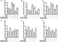 The expression of selected RNAs in RAW264.7 cells treated with TNA in vitro. RAW264.7 cells were treated with TNA or miRNAs inhibitors or circRNAs mimics in vitro and the quantitation of miRNAs (A–C) and mRNA (D–F) were detected by qRT-PCR. n = 3. **P < 0.01 and *P < 0.05 versus control group, ##P < 0.01 and #P < 0.05 versus ox-LDL treated group