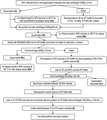 Shown are steps of respiratory syncytial virus purification used and the labeling for total protein, cytokine quantification, and virus quantification through plaque assay