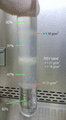 Shown is the image of final step in sucrose-gradient ultracentrifugation of respiratory syncytial virus (RSV) preparation. The collected RSV-rich band is between 37% and 47% of sucrose (w/w) that corresponds to 1.16 and 1.21 g/cm3 of mass density, respectively
