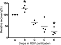 Relative recovery of respiratory syncytial virus in consecutive steps of the purification procedure. Each dot represents the total amount of virus (PFU) in a given volume (mL) per step of the experiment (total volume collected in mL) × virus titer (PFU/mL). The calculated values of the initial harvests (A) were assigned a normalized ratio of 100%. For downstream purification steps (B to E), the values shown were calculated and normalized compared with the initial harvest (A)