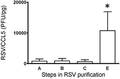 The ratio of RSV concentration (PFU/mL) to CCL5 concentration (pg/mL) increases significantly by the final step of purification. CCL5 was measured by ELISA at each purification step (n = 3). Error bars represent sem. P < 0.05