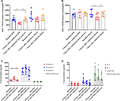 Expression of CD193 and CD49d a on mature eosinophils and cytokine concentration in plasma before and after endotoxin. Median fluorescence intensity (MFI) is plotted for two different surface markers of mature eosinophils in bone marrow and blood at baseline (blue), 4 h after endotoxin administration (red) and 1 week after endotoxin administration (orange): (A) CD193, (B) CD49d, and (C) Eotaxin 1–3 concentrations in the plasma are indicated. Red shows eotaxin-1, blue shows eotaxin-2, and green shows eotaxin-3. (D) IL-5, IL-3, and GM-CSF concentrations in the plasma are also indicated. Red shows IL-5, blue shows IL-3, and green shows GM-CSF. Medians ± IQR (interquartile range) are indicated. A Wilcoxon matched-pairs signed rank test was performed. All conditions were tested, but only statistical significant results are indicated. *P ≤ 0.05 and **P ≤ 0.01